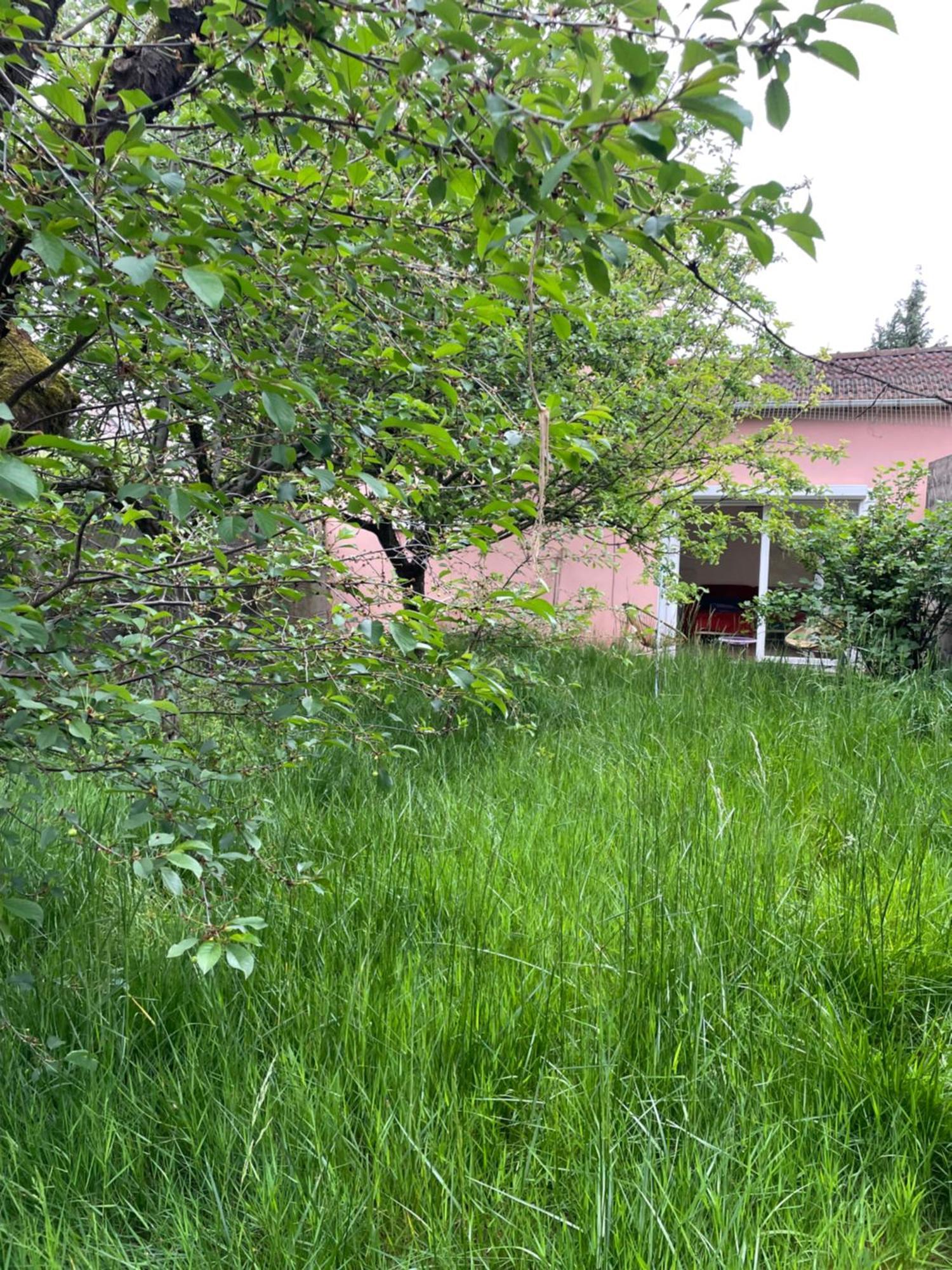Charmante Maison Avec Jardin Aux Portes De Paris Vitry-sur-Seine Ngoại thất bức ảnh